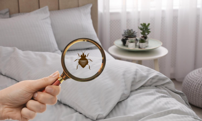 Post-Treatment Tips to Prevent Bedbug Reinfestation