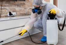 Pest Control for New Homeowners: What You Need to Know