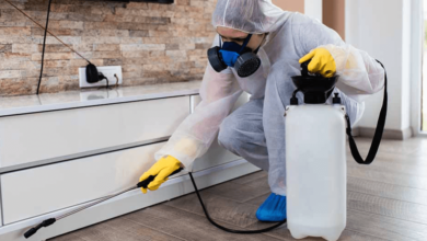 Pest Control for New Homeowners: What You Need to Know