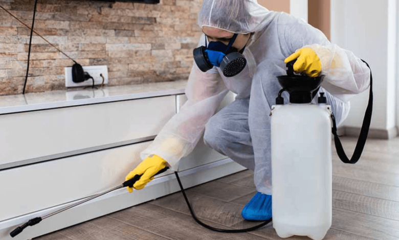 Pest Control for New Homeowners: What You Need to Know