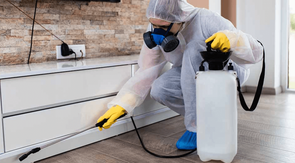 Pest Control for New Homeowners: What You Need to Know