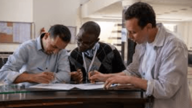The Sectors Recruiting the Most Experienced Professionals in Morocco