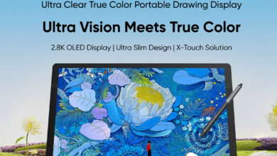 What Makes the XPPen Artist 14 OLED Graphic Tablet Different?